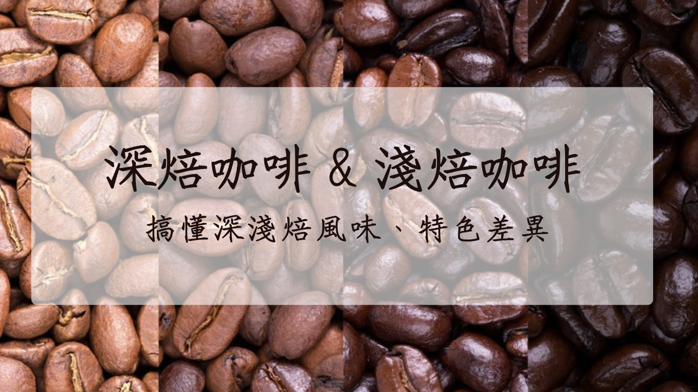 淺焙、中焙、深焙三種烘焙度咖啡豆的顏色對比