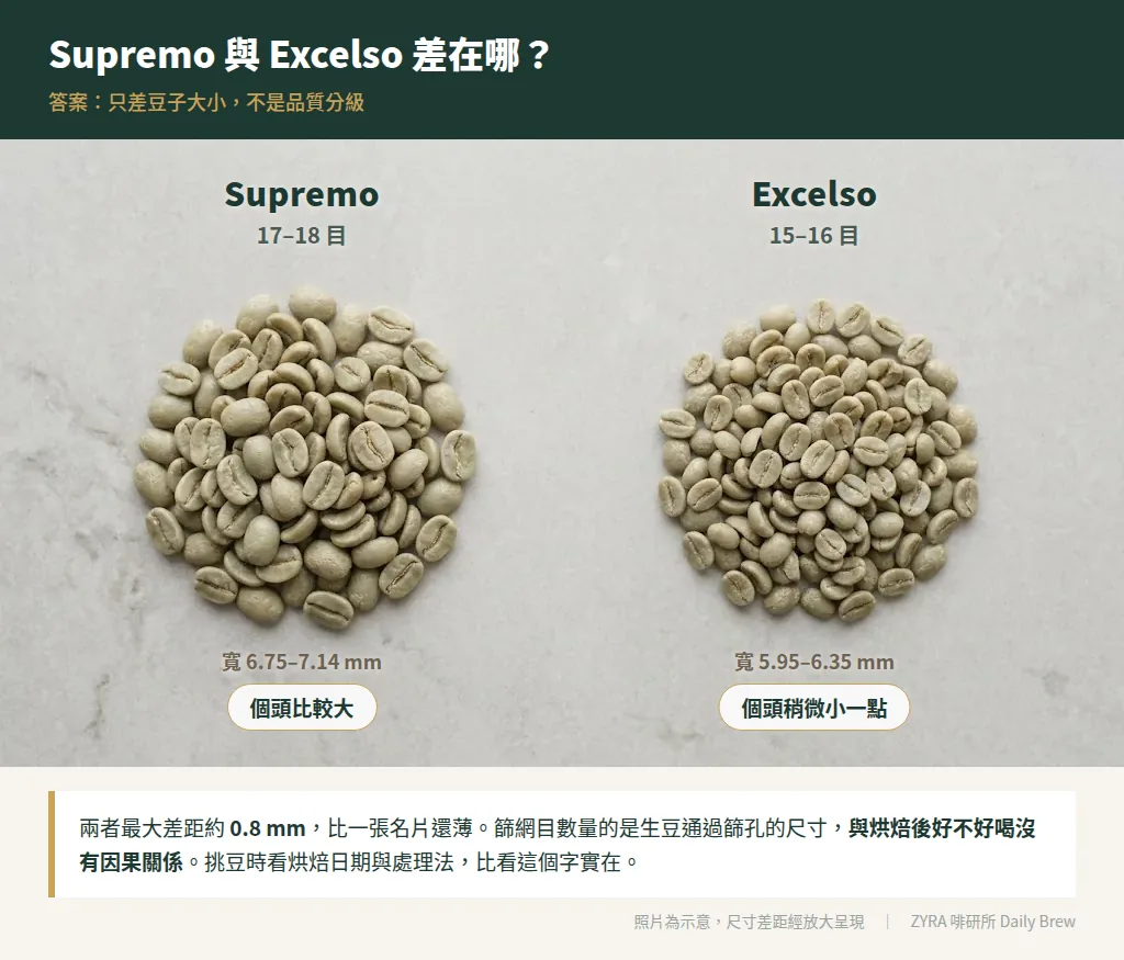 Supremo 與 Excelso 生豆尺寸對照:Supremo 為 17 至 18 目、寬約 6.75 至 7.14 公釐,Excelso 為 15 至 16 目、寬約 5.95 至 6.35 公釐